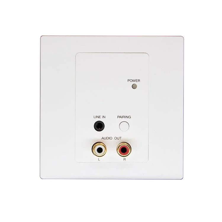 2CH RCA Bluetooth Dante helipaneel